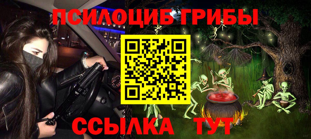 Псилоцибиновые грибы Psilocybine cubensis Коммунар