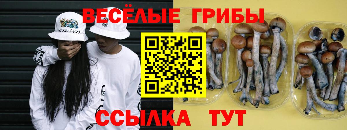 Коммунар  Псилоцибиновые грибы Cubensis  Вход с VPN 